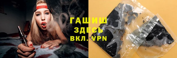 PSILOCYBIN Алзамай
