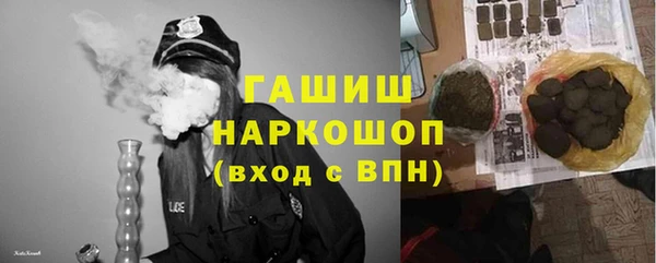 PSILOCYBIN Алзамай