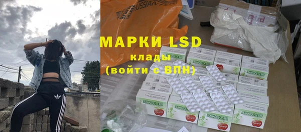 PSILOCYBIN Алзамай