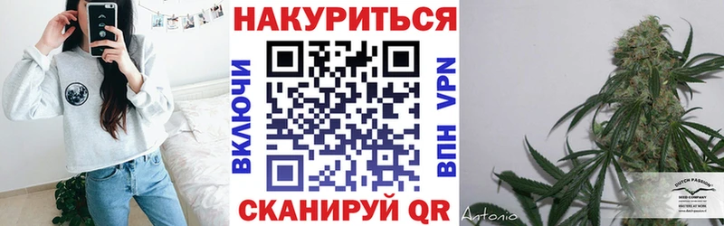 площадка какой сайт  ОМГ ОМГ онион  Миньяр  цена наркотик  Канабис семена 